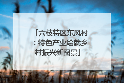 六枝特区东风村：特色产业绘就乡村振兴新图景
