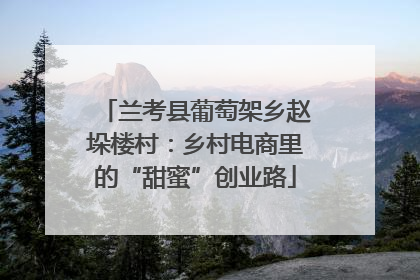 兰考县葡萄架乡赵垛楼村：乡村电商里的“甜蜜”创业路