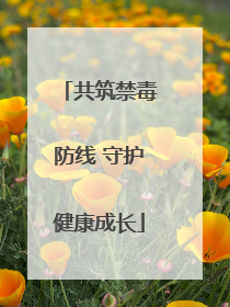 共筑禁毒防线 守护健康成长