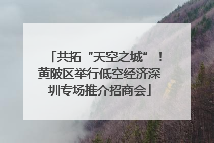 共拓“天空之城”！黄陂区举行低空经济深圳专场推介招商会