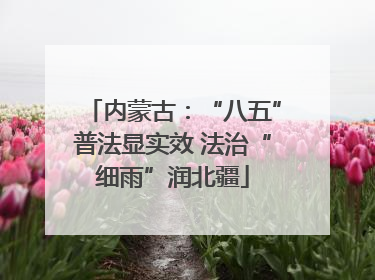 内蒙古：“八五”普法显实效 法治“细雨”润北疆