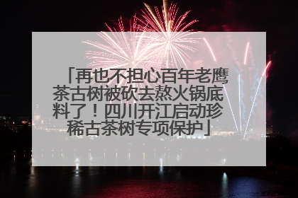 再也不担心百年老鹰茶古树被砍去熬火锅底料了！四川开江启动珍稀古茶树专项保护
