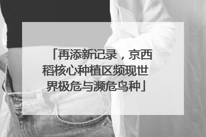 再添新记录，京西稻核心种植区频现世界极危与濒危鸟种