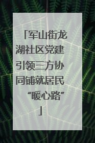 军山街龙湖社区党建引领三方协同铺就居民“暖心路”