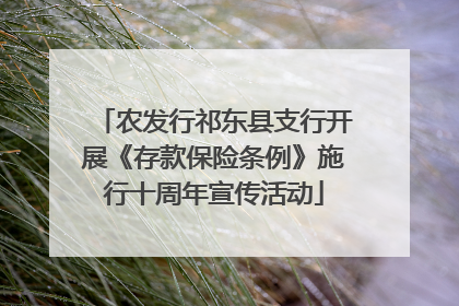 农发行祁东县支行开展《存款保险条例》施行十周年宣传活动