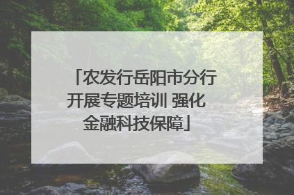 农发行岳阳市分行开展专题培训 强化金融科技保障