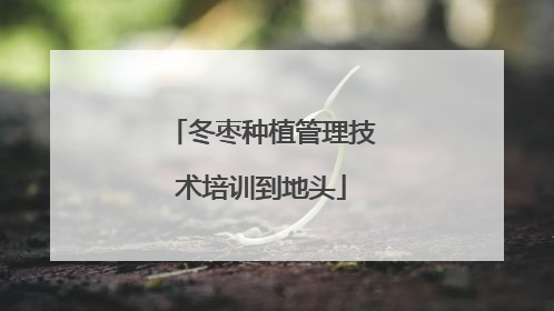 冬枣种植管理技术培训到地头