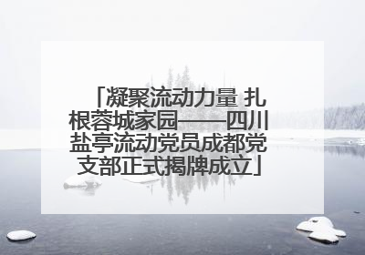 凝聚流动力量 扎根蓉城家园——四川盐亭流动党员成都党支部正式揭牌成立