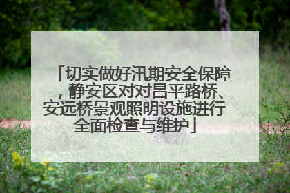 切实做好汛期安全保障，静安区对对昌平路桥、安远桥景观照明设施进行全面检查与维护