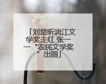 刘楚昕漓江文学奖走红 张一一“农民文学奖”出圈