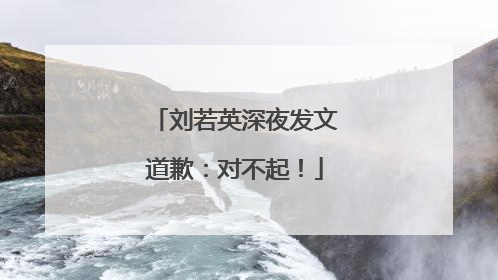 刘若英深夜发文道歉：对不起！