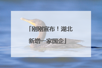 刚刚宣布！湖北新增一家国企