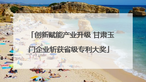 创新赋能产业升级 甘肃玉门企业斩获省级专利大奖