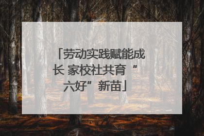 劳动实践赋能成长 家校社共育“六好”新苗
