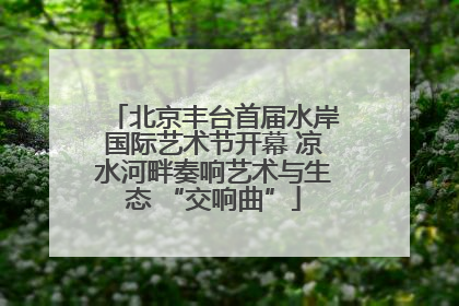 北京丰台首届水岸国际艺术节开幕 凉水河畔奏响艺术与生态 “交响曲”