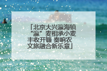 北京大兴瀛海镇“瀛”麦相承小麦丰收开镰 奏响农文旅融合新乐章