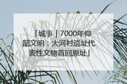 城事｜7000年仰韶文明：大河村遗址代表性文物首回原址