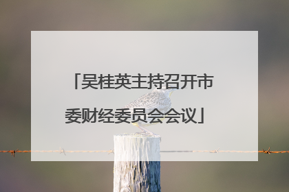 吴桂英主持召开市委财经委员会会议
