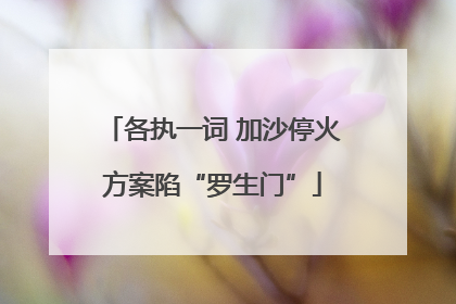 各执一词 加沙停火方案陷“罗生门”
