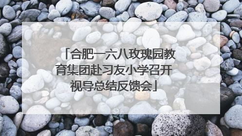 合肥一六八玫瑰园教育集团赴习友小学召开视导总结反馈会