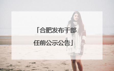 合肥发布干部任前公示公告