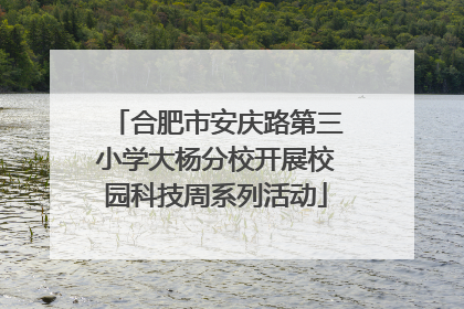 合肥市安庆路第三小学大杨分校开展校园科技周系列活动