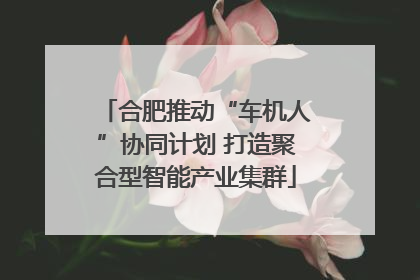 合肥推动“车机人”协同计划 打造聚合型智能产业集群
