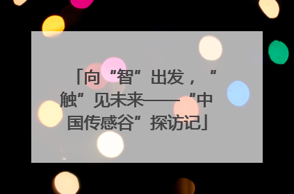 向“智”出发，“触”见未来——“中国传感谷”探访记