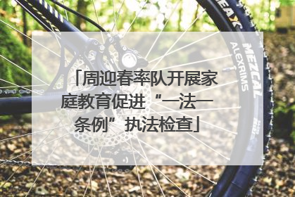 周迎春率队开展家庭教育促进“一法一条例”执法检查