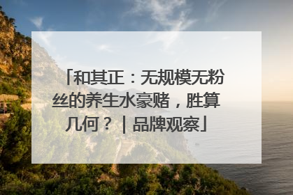 和其正：无规模无粉丝的养生水豪赌，胜算几何？｜品牌观察