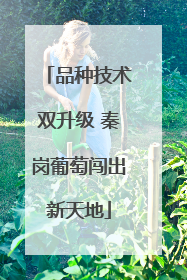 品种技术双升级 秦岗葡萄闯出新天地