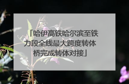 哈伊高铁哈尔滨至铁力段全线最大跨度转体桥完成转体对接