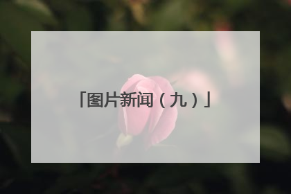 图片新闻（九）