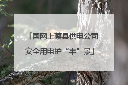 国网上蔡县供电公司安全用电护“丰”景