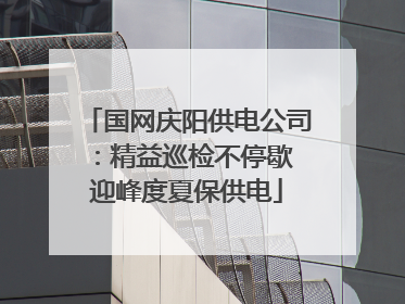 国网庆阳供电公司：精益巡检不停歇 迎峰度夏保供电