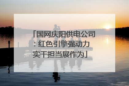 国网庆阳供电公司：红色引擎强动力 实干担当展作为