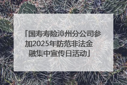 国寿寿险漳州分公司参加2025年防范非法金融集中宣传日活动