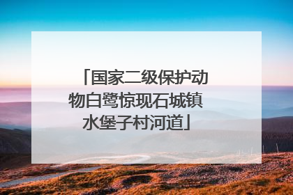 国家二级保护动物白鹭惊现石城镇水堡子村河道