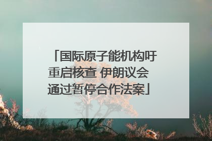 国际原子能机构吁重启核查 伊朗议会通过暂停合作法案