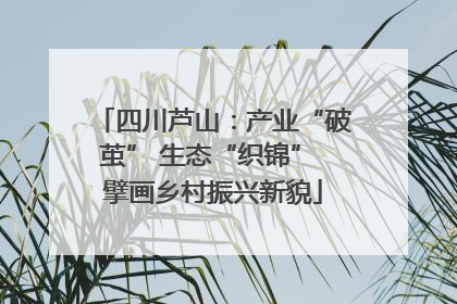 四川芦山：产业“破茧” 生态“织锦” 擘画乡村振兴新貌