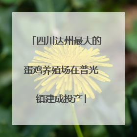 四川达州最大的蛋鸡养殖场在普光镇建成投产