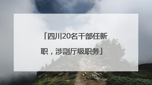 四川20名干部任新职，涉副厅级职务