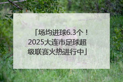 场均进球6.3个！2025大连市足球超级联赛火热进行中