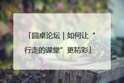圆桌论坛｜如何让“行走的课堂”更精彩