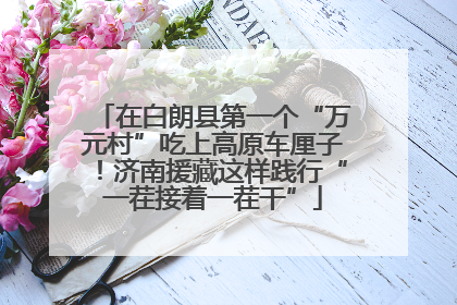 在白朗县第一个“万元村”吃上高原车厘子！济南援藏这样践行“一茬接着一茬干”