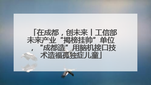 在成都，创未来丨工信部未来产业“揭榜挂帅”单位，“成都造”用脑机接口技术造福孤独症儿童