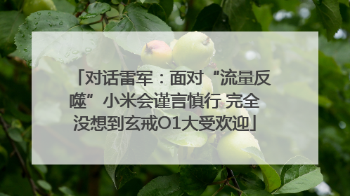 对话雷军：面对“流量反噬”小米会谨言慎行 完全没想到玄戒O1大受欢迎