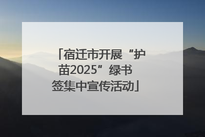 宿迁市开展“护苗2025”绿书签集中宣传活动