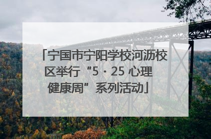 宁国市宁阳学校河沥校区举行“5・25 心理健康周”系列活动