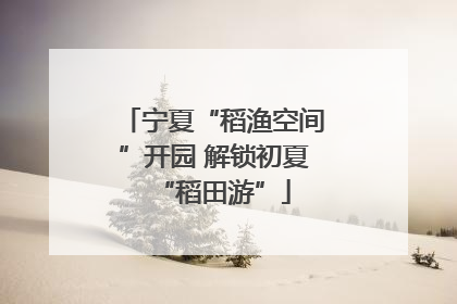 宁夏“稻渔空间”开园 解锁初夏“稻田游”